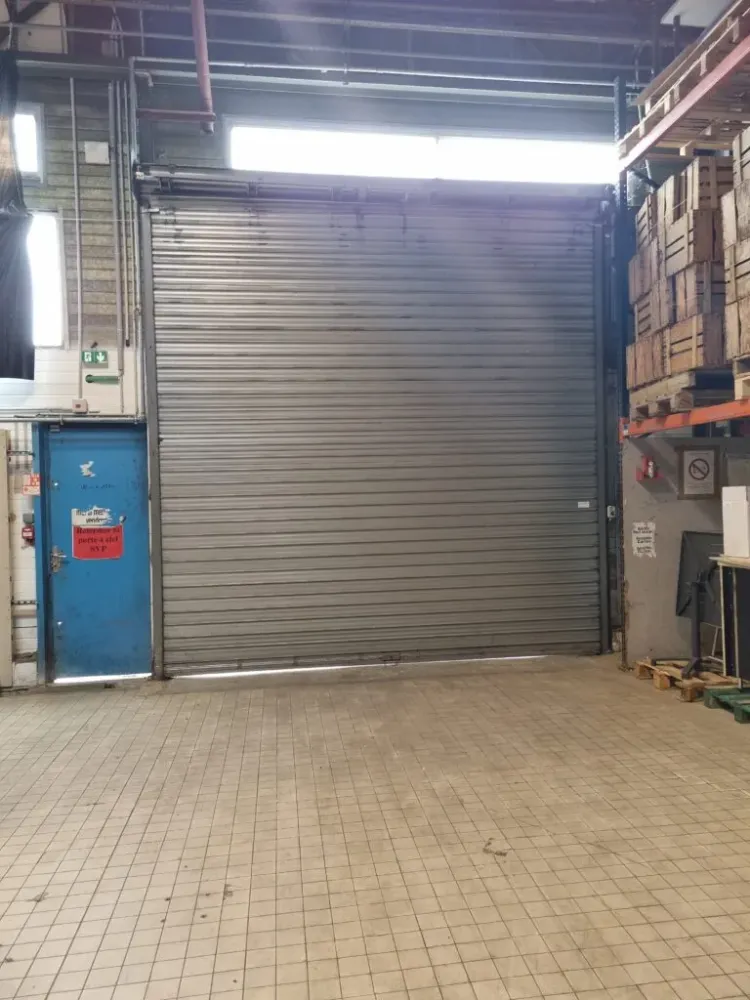 Loire Automatismes Services - Porte de garage (3)